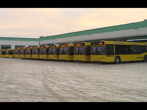 Видео: Масштабное обновление: 23 автобуса закупили в Сургуте