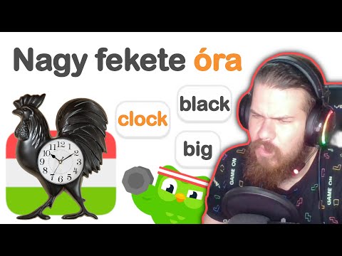 Видео: Я прошёл ВЕНГЕРСКИЙ на Duolingo, и всё пошло не так.
