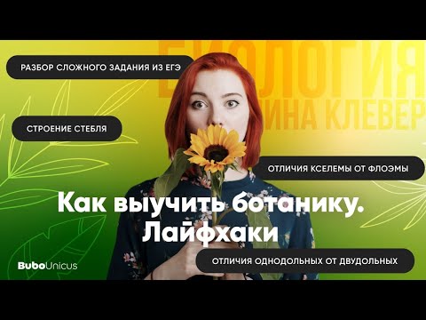 Видео: Как выучить ботанику. Лайфхаки. | БИОЛОГИЯ ЕГЭ | Лина Клевер