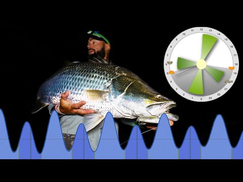 Видео: Ловля баррамунди, наблюдение за временем поклевки