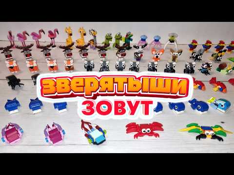 Видео: Как собрать всех зверятышей из Магнит?