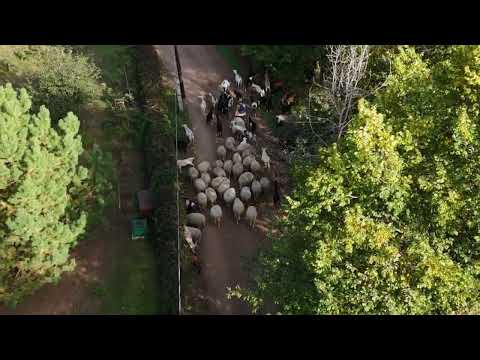 Видео: Ничего милее вы сегодня не увидите 😁!!! 