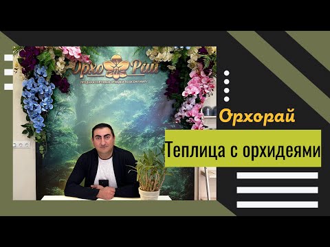 Видео: Орхидеи с ЦВЕТОНОСАМИ, на БУТОНАХ! Едем в @orhorai 🔥♥️🌸