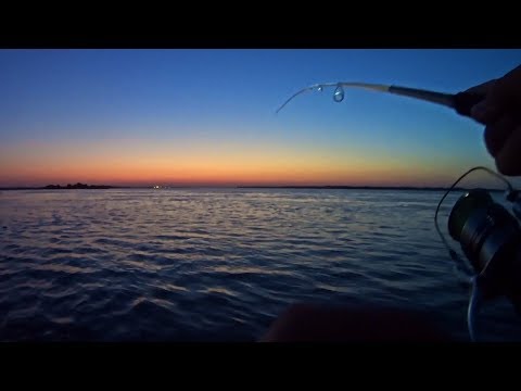 Видео: Рыбалка на ночного судака. Злые поклёвки вдоль кустов