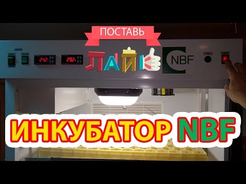 Видео: Инкубатор NBF