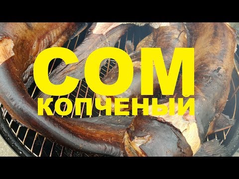 Видео: СОМ КОПЧЕНЫЙ НА УГОЛЬНОЙ КОПТИЛЬНЕ WEBER РЕЦЕПТЫ СЮФ
