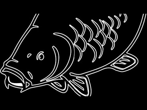 Видео: Монтаж за едри шарани , комби риг снежен човек.