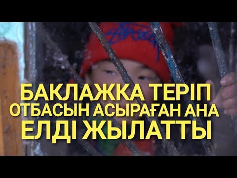 Видео: БАКЛАЖКА ТЕРІП ОТБАСЫН АСЫРАҒАН АНА ЕЛДІ ЖЫЛАТТЫ