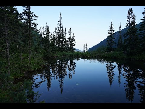 Видео: Мамай . Хамар- Дабан.