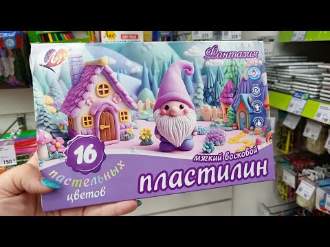 Видео: АСМР Фикс прайс (Полная версия на БУСТИ по ссылке ниже 👇👇👇)