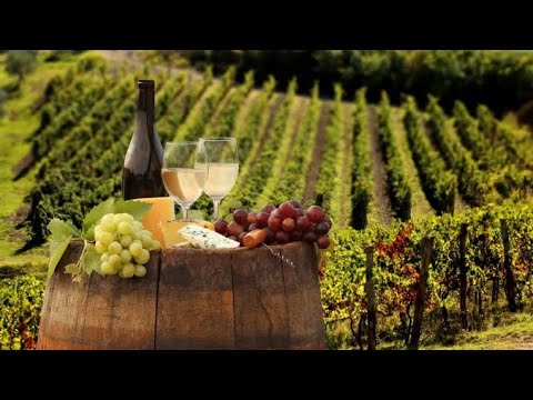 Видео: Молдова не Нищенская страна💥обманутый народ💥 Кишинёв это не руины и разруха!