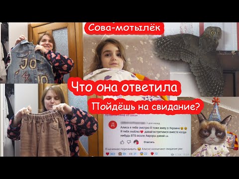 Видео: VLOG Пойдёт ли Алиса на свидание. Наша сова. Вещи из Gufo kids