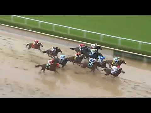 Видео: R5 ЧЕРЧИЛЛЬ-ДАУНС США