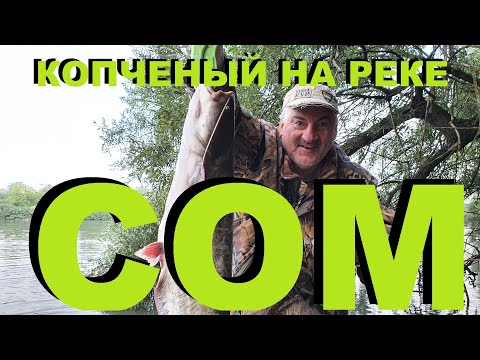 Видео: СОМ КОПЧЕНЫЙ НА РЕКЕ РЫБАЛКА НА КУБАНИ РЕЦЕПТЫ СЮФ