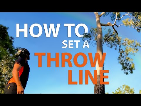 Видео: Как установить линию на дереве для арбориста