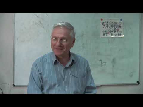 Видео: Топ-10 отличий типов Наставник и Советчик. Гуманитарная соционика Гуленко. ПРЕВЬЮ