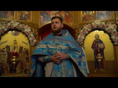 Видео: Проповедь иерея Дионисия Щербакова