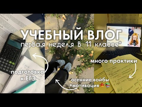 Видео: УЧЕБНЫЙ ВЛОГ химбио🌿📖🧪//первая неделя в 11 классе