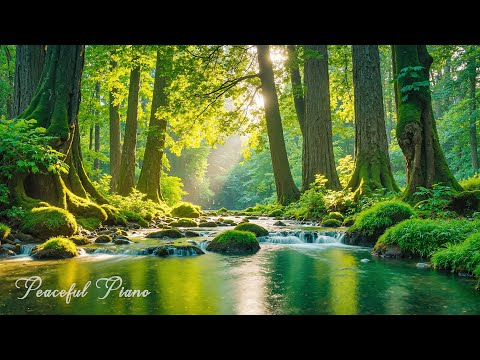 Видео: Расслабляющая фортепианная музыка 🌿 Успокаивающая музыка для сна, снятия стресса и обретения внутре