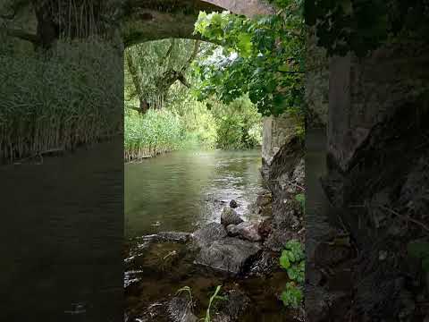 Видео: Прогулка вдоль реки Шеннон в городе Лимерик.