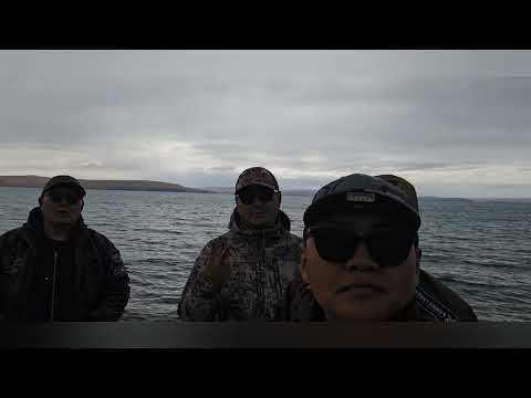 Видео: Хөвсгөл аймаг. Дархадын хотгор Зүүн тайга. 1 р хэсэг.  Mongolia. Khuvsgul province. Eastern taiga.