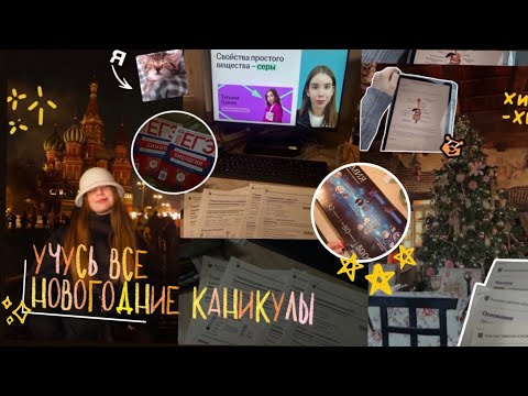Видео: STUDY VLOG: учусь все новогодние каникулы, подготовка к егэ версия химбио