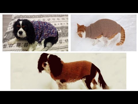Видео: DIY//ОДЕЖДА ДЛЯ СОБАК НА ЛЮБОЙ РАЗМЕР//ЛЕГКО//ИЗ ДВУХ ПРЯМОУГОЛЬНИКОВ