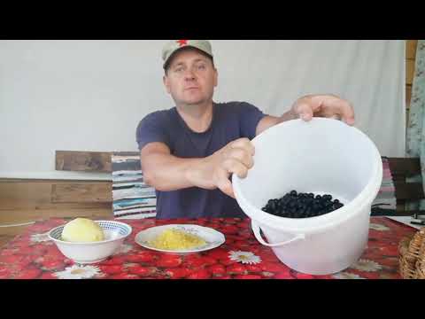 Видео: Морс из Черной Смородины