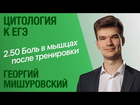Видео: 2.50. Причина боли в мышцах после тренировки | Цитология к ЕГЭ | Георгий Мишуровский