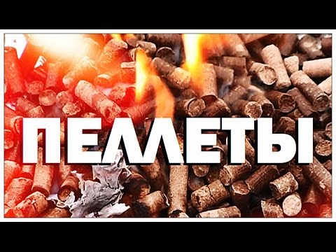 Видео: Галилео. Пеллеты