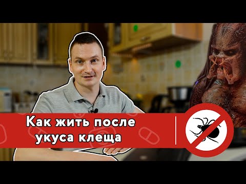Видео: Как жить после укуса клеща | Доктор Саша