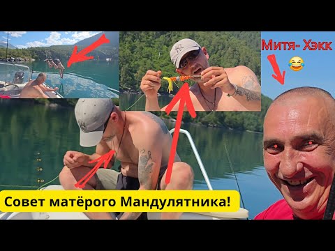 Видео: 250кг рыбы за 3 дня, Норвегия 2025 рыбалка лето - жара + 40, Прыгаем с лодки в воду.  Ржака 😂😁
