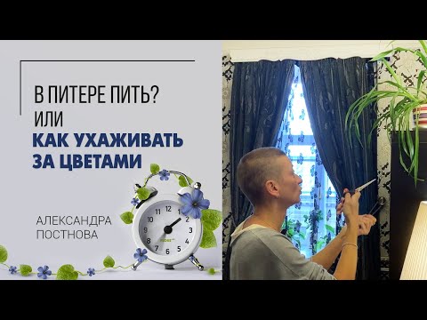 Видео: В питере пить? Если ты цветочник, то это необязательно) А вот мимо цветов пройти не получается.