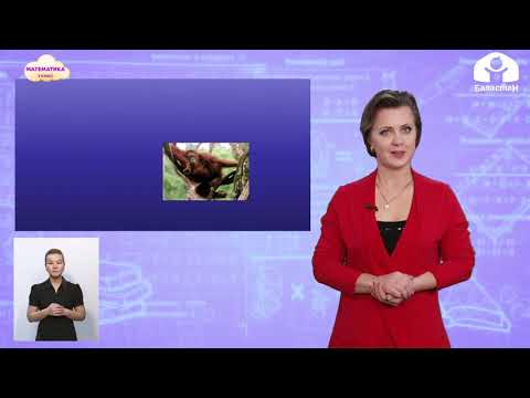 Видео: Математика 3 класс / Сутки / ТЕЛЕУРОК 23.12.20