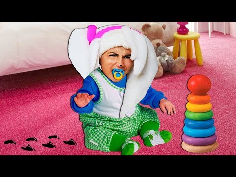 Видео: Роза капризная малышка