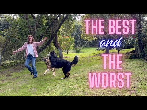 Видео: Плюсы и минусы жизни в Мексике: взгляд иностранного резидента