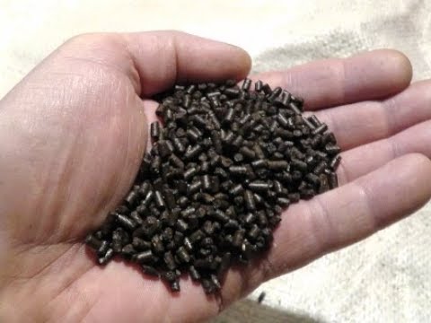 Видео: Производство рыбного корма высокого качества! High quality fish feed production