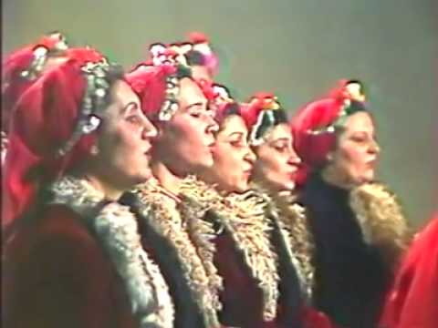 Видео: "В СЕЛО ЗЛАТАРИ ВЛЯЗОХА"