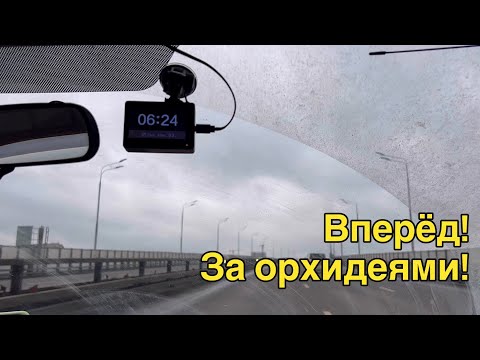 Видео: «Байкальские цветы» переехали! Но мы их найдём!😤😁🌸