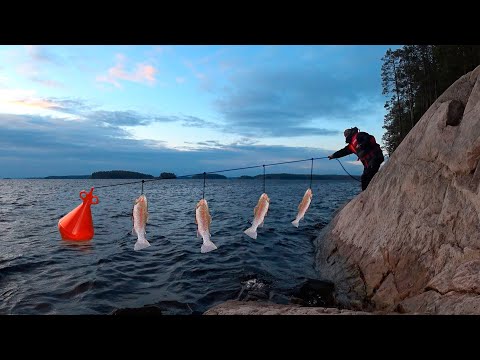 Видео: РЫБАКИ НЕ ОЖИДАЛИ ТАКОГО ФАНТАСТИЧЕСКОГО КЛЕВА | ЭТА СНАСТЬ ПРОСТО КОСИТ ФОРЕЛЬ
