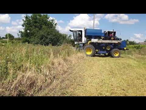Видео: КЗС-9.1 Славутич. Жнива 12.08.2023. Ячмінь. Хмельницька область.
