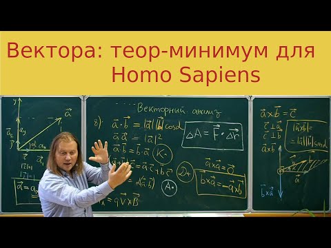 Видео: Вектора: обязательный теор-минимум для Homo Sapiens доступным языком.