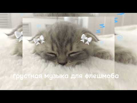 Видео: грустная музыка для флешмоба//9 минут