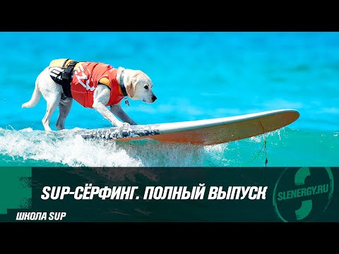 Видео: Спецвыпуск проекта "Купить SUP" | SUP-сёрфинг на волнах для начинающих