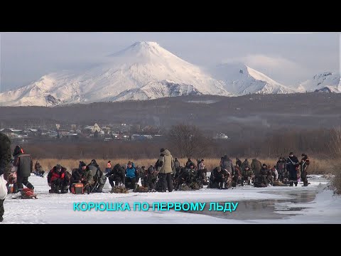 Видео: Корюшка, первый лед ноябрь 2021