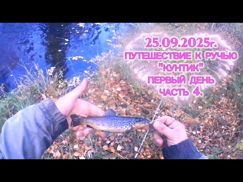 Видео: ФОРЕЛЬ. ПУТЕШЕСТВИЕ К РУЧЬЮ "КУНТИК". ПРОДОЛЖЕНИЕ. ЧАСТЬ 4. #форель #recommended #fishing #рыбалка