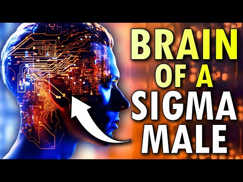Видео: 7 особенностей строения мозга сигма-самцов