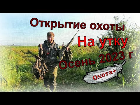 Видео: Открытие охоты на УТКУ Осень 2023г. ружьё Impala plus, новинка палатка УП 2
