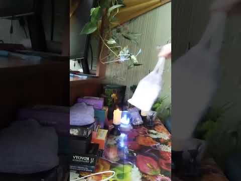 Видео: Завтрак) Зависть чёрная идёт 🐸им покоя, не даёт. Ваша жизнь раздражает, потому и кусают🐍