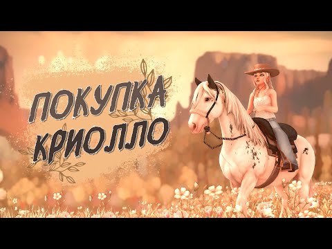 Видео: Покупка креольской лошади | Star Stable